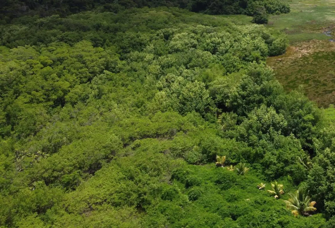 Widok działki na sprzedaż przy jeziorze z naturalnym brzegiem i oznaczeniem strefy ochronnej