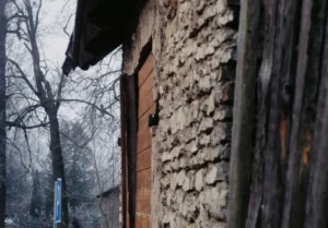 Dom-palimpsest w Podkowie Leśnej – połączenie ceglanej struktury ze szkieletami z drewna CLT w otoczeniu wiekowych dębów
