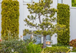 Budynek Gardenhouse z zieloną elewacją i spadzistymi dachami w Beverly Hills